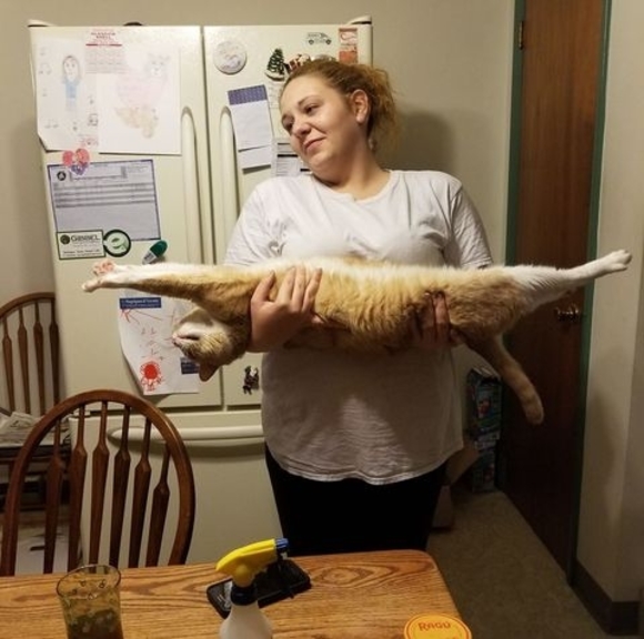 Meet your Posher, Michele - Picture 1 of 1